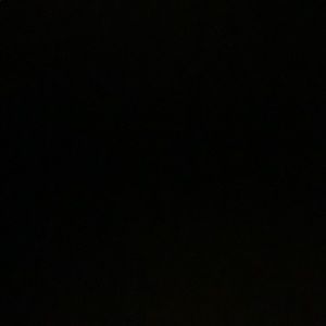 Meet your Posher, Lizzie